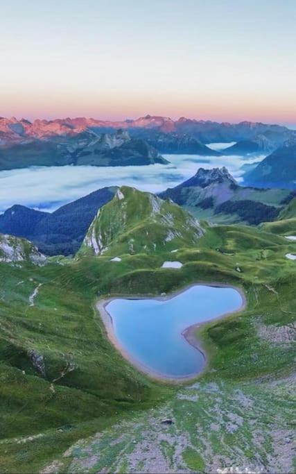 Apartament L'Escapade Montagneuse Eaux-Bonnes Zewnętrze zdjęcie