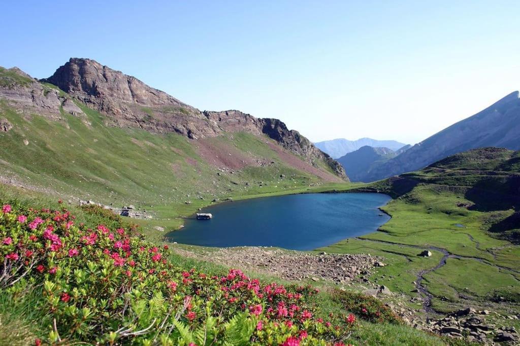 Apartament L'Escapade Montagneuse Eaux-Bonnes Zewnętrze zdjęcie